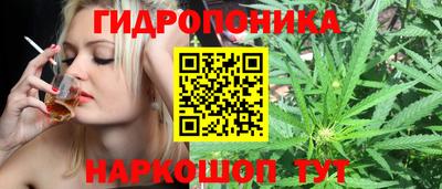 шишки Каменск-Шахтинский
