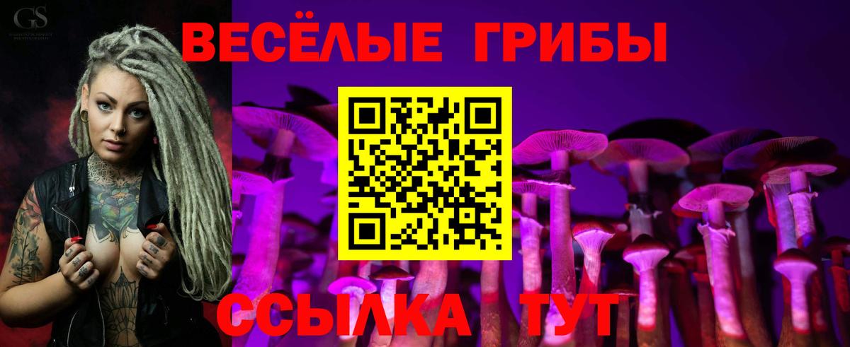 Галлюциногенные грибы прущие грибы Воркута